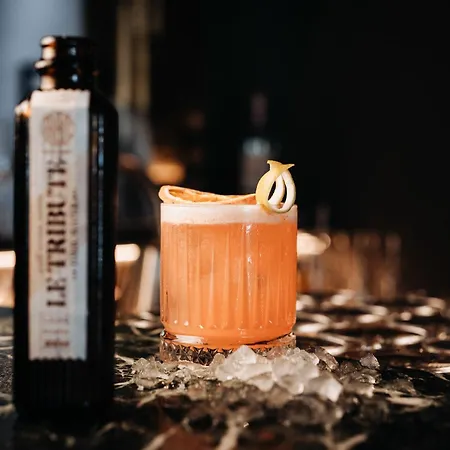 Gentle Hide Designhotel Hotel *